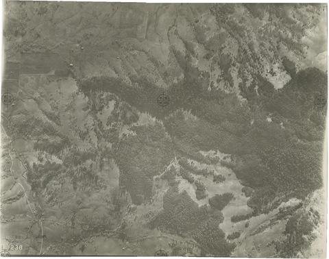 Benton County Aerial 1238, 1936 show page link