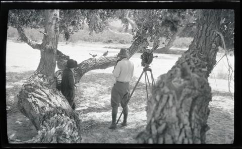 William and Irene Finley photographing road runners