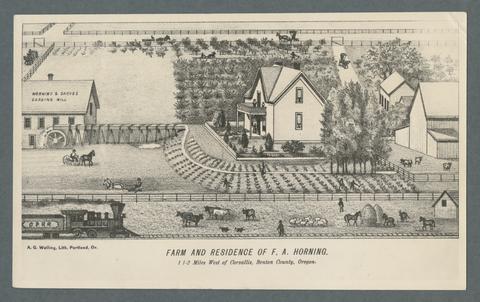 Reproduced lithograph of the "Farm and Residence of F. A. Horning"