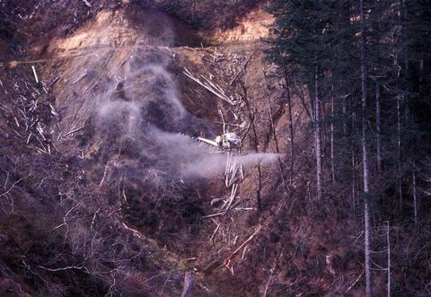 Helicopter spraying herbicides after logging