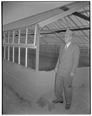 F. E. Price, Dean and Director of Agriculture, at new experiment station greenhouses, October 19, 1950