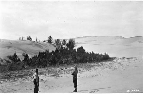 Looking over dunes, two persons looking at area of vegetation surrounded by dunes.