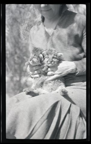 Irene Finley with cougar kittens