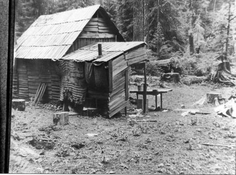 Shack on homestead, Siletz Country of Oregon.  Coulter claim