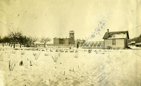 Greenhouse and orchard in snow