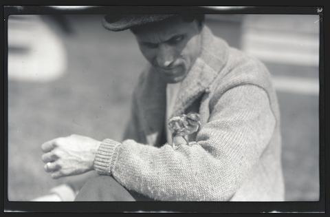 Pheasant chick on William Finley’s arm
