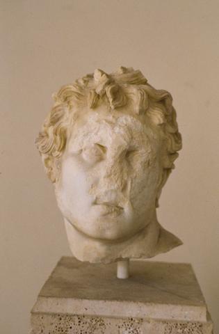Head of Diomedes from theft of Palladion