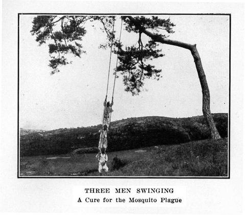Three Men Swinging