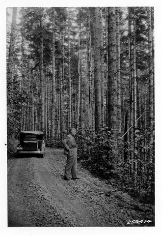R. Shelley, Eugene Supervisor, standing on gravel road looking at second growth
